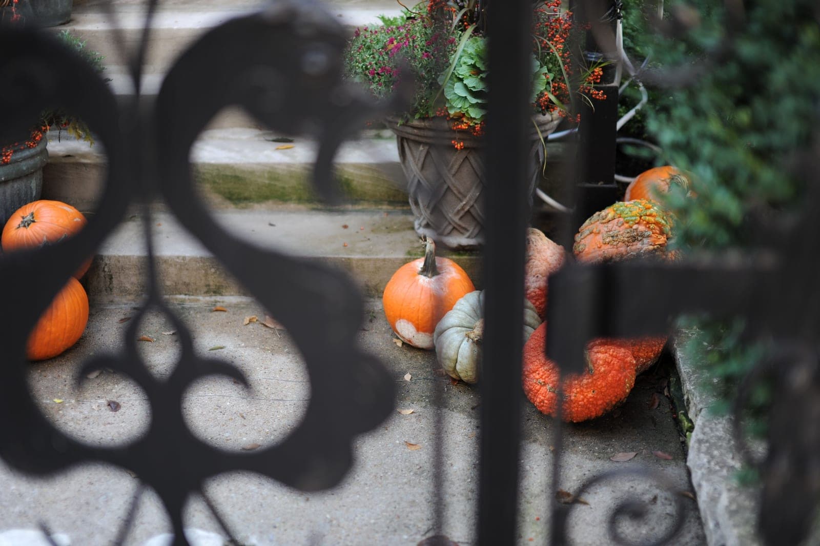 A cozy autumn entryway with pumpkins, a wreath, and warm textiles
