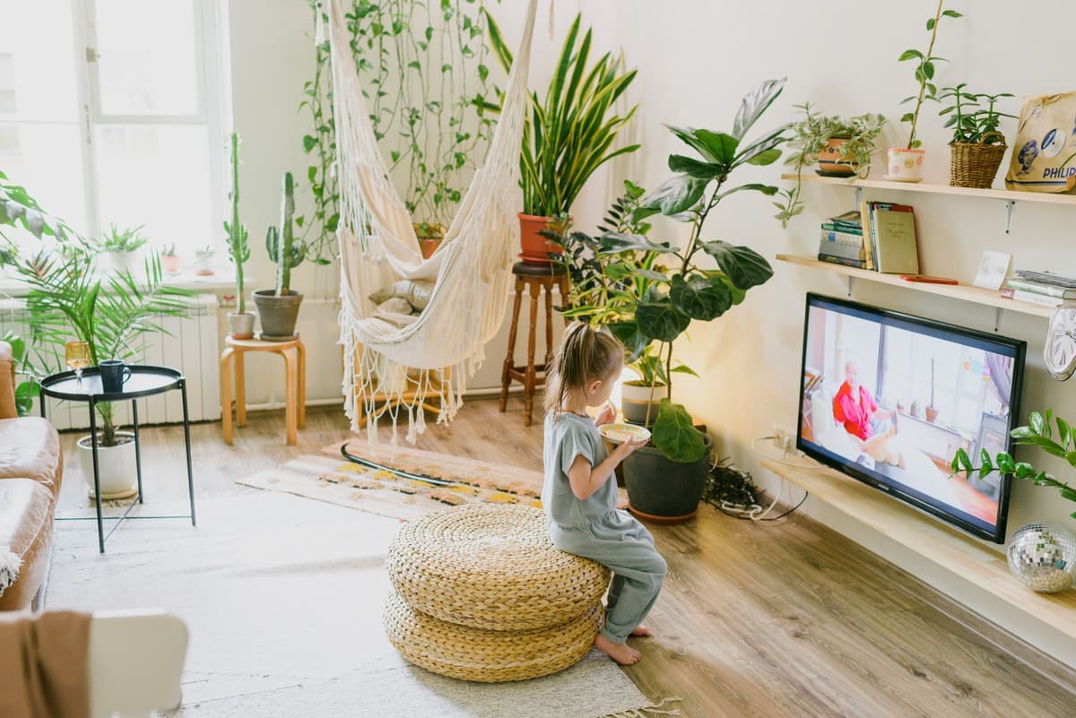 Indoor greenery styled in a living room