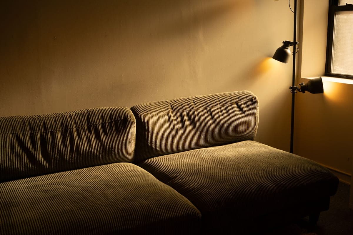 A decorated, cozy living room with a sofa